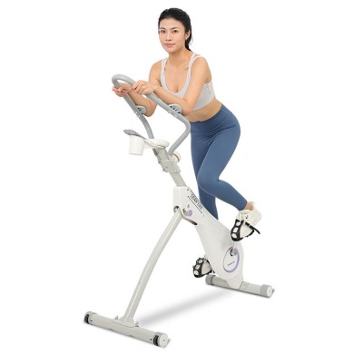 SEAN LEE home fitness spinning bike