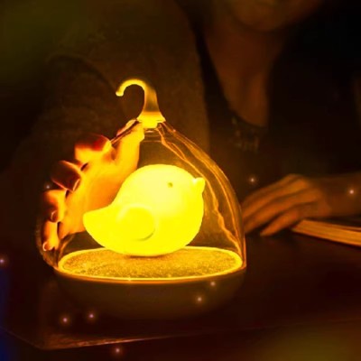 Touch sensor bird cage light