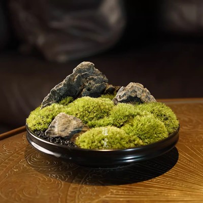 Chinese Zen Moss Potted Plant