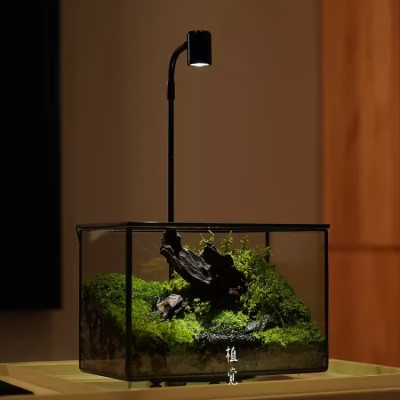 Moss Micro Landscape Night Light