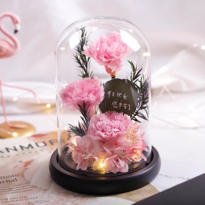 Carnation Glass Cover Preserved Flower Gift Box