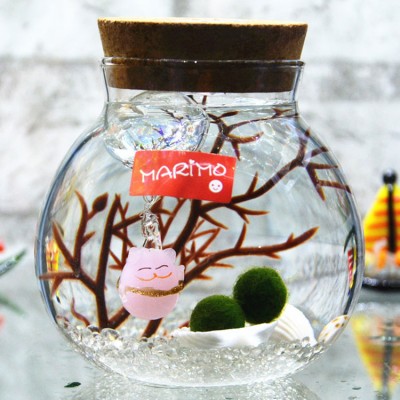 Happy seaweed ball eco bottle