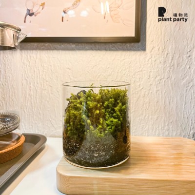 Micro Landscape Moss Glass Pot