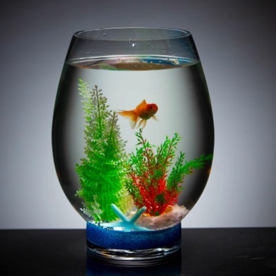 Micro Landscape Glass Egg Fish Tank
