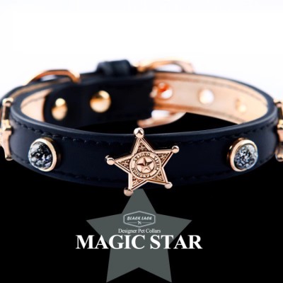 Pet Leash Leather Collar