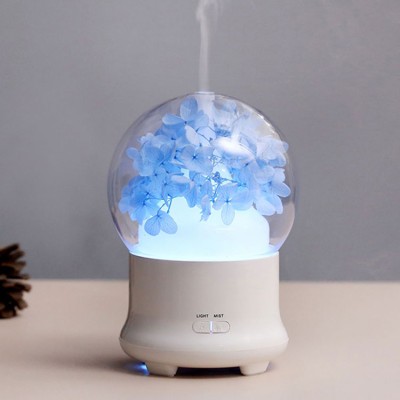 Preserved Flower Aromatherapy Humidifier