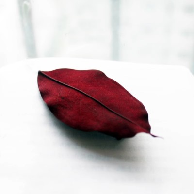 Artistic forest leaf hairpin