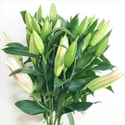 lily bouquet flower delivery