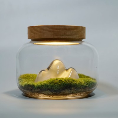 Warm Mountain Moss Micro Landscape Night Light