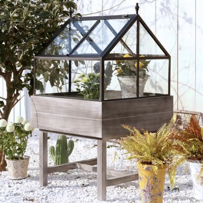 Iron glass sun planting greenhouse