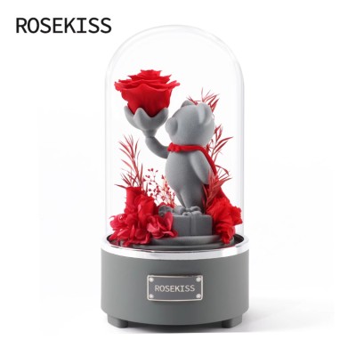 Rose Bear Preserved Flower Gift Box