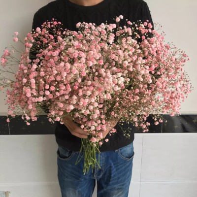 Gypsophila dried flowers bouquet