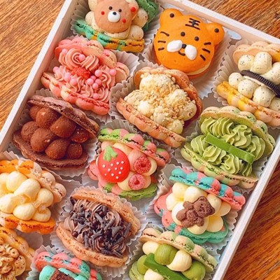 Cute Chubby Shell Macaron Gift Box
