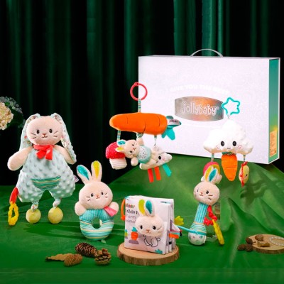 Baby Rattle Soothing Toy Gift Box