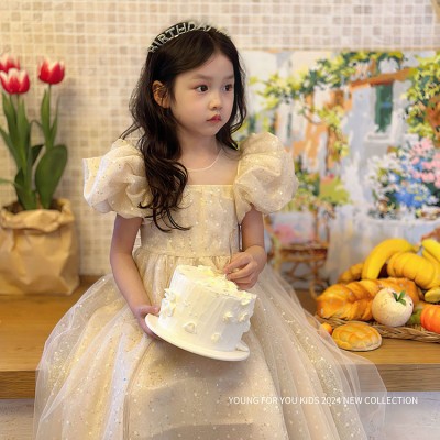 Little girl champagne princess dress