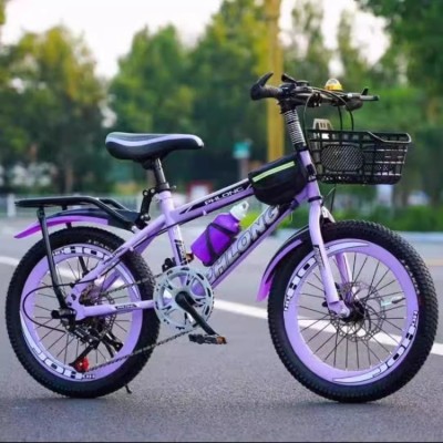 Girls Princess Pink Bicycle