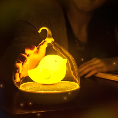 Creative Music Birdcage Lamp