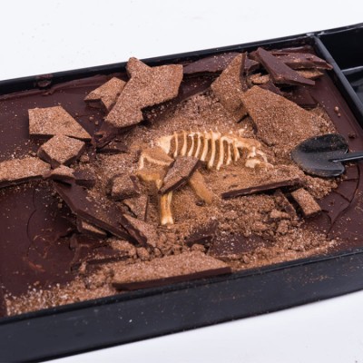 Dinosaur Fossil Chocolate Gift Box
