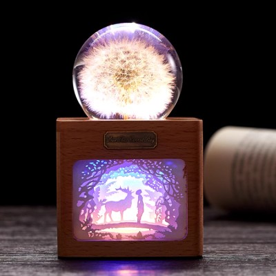 Dandelion Crystal Ball Night Light