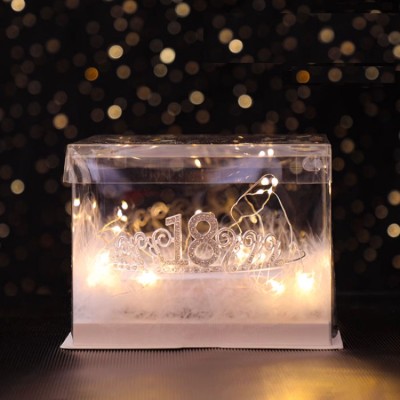 18-year-old adult ceremony princess crown