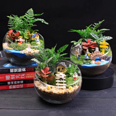 Micro Landscape Moss Eco Bottle