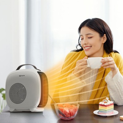 Pioneer Desktop Small Sun Heater