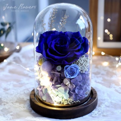 Blue Enchantress Eternal Rose