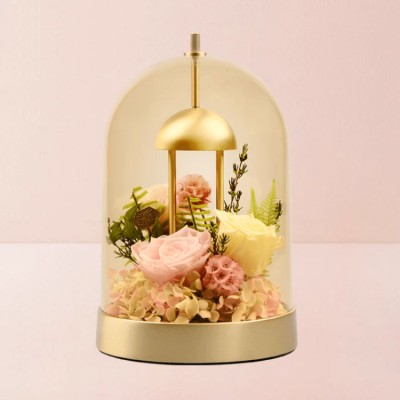 Glass Cover Preserved Flower Table Lamp Gift Box