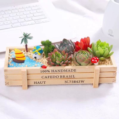 Micro landscape succulent plant pot