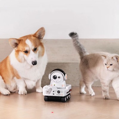 Smart Pet Motion Camera