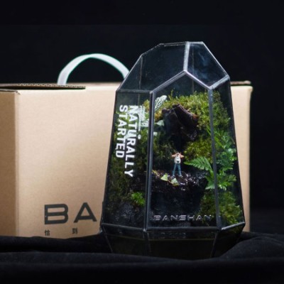 Small forest water desktop rainforest tank
