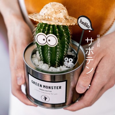 Cute cactus green plant pot