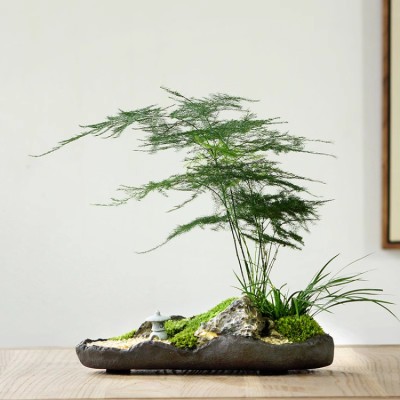Landscape Zen Bamboo Bonsai