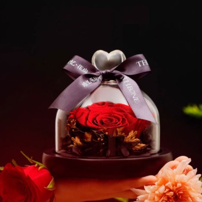Glass Cover Preserved Rose Gift Box